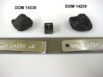 Lab Photo of Sample DOM 14238 Displaying South Orientation